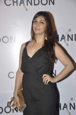 Nauheed Cyrusi at Moet Hennesey launch of Chandon wines made now in India in Four Seasons, Mumbai on 19th Oct 2013